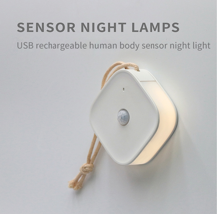 D014 - LAIKEN USB Rechargeable Motion Sensor Night Light (1)